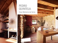 Pedro Quintela, the beauty reborns