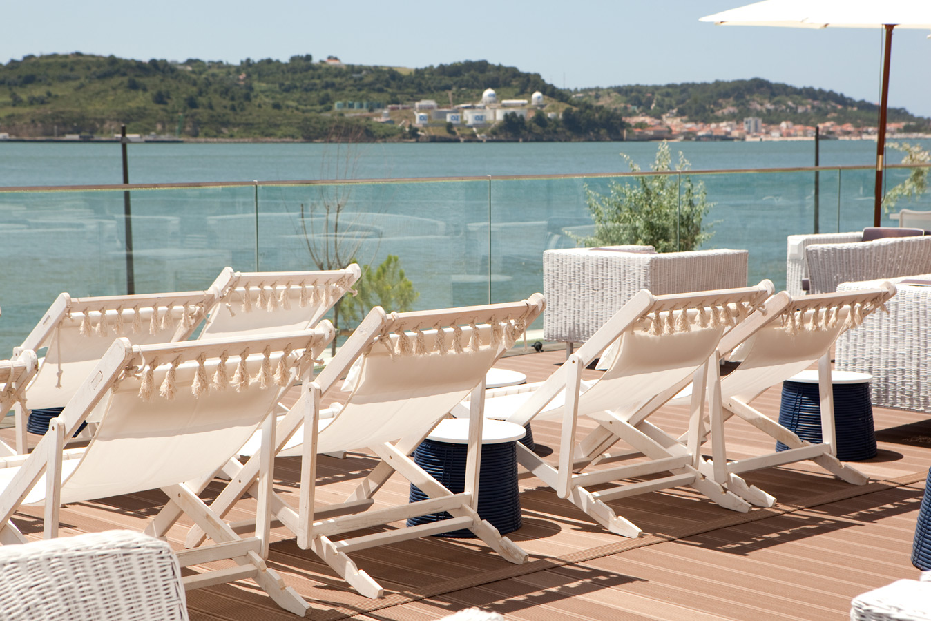 Darwin’s Café Where the science meets design Darwin Cafe Portugal